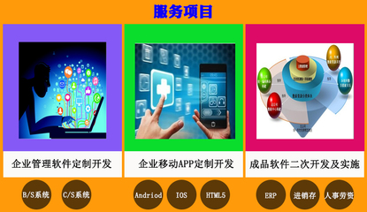 企業管理軟件開發