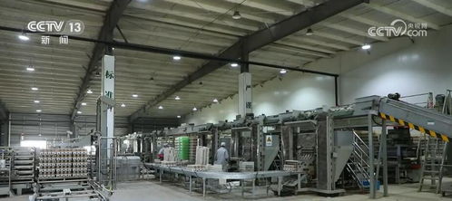 一朵小蘑菇帶動千億大產(chǎn)業(yè) 中國造 裝備助力鄉(xiāng)村振興