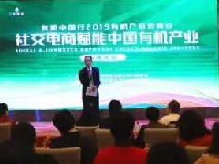 最新電商資訊新聞 魚擺擺網(wǎng)